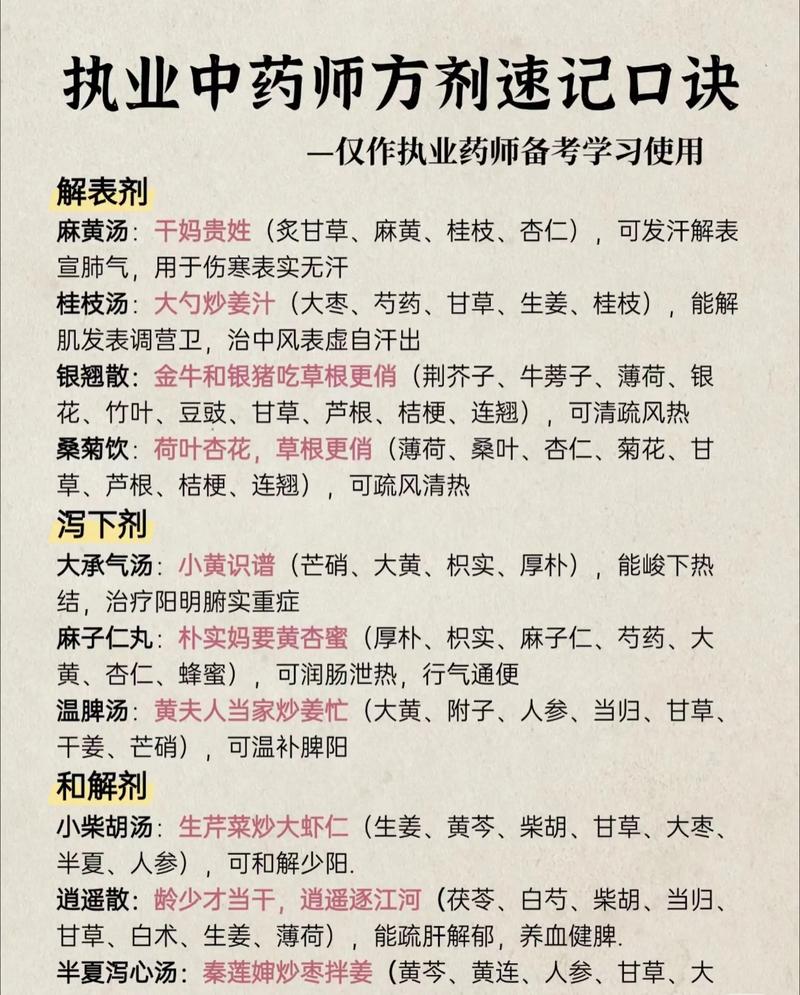 中医调理之风：传统智慧在现代的光芒再现