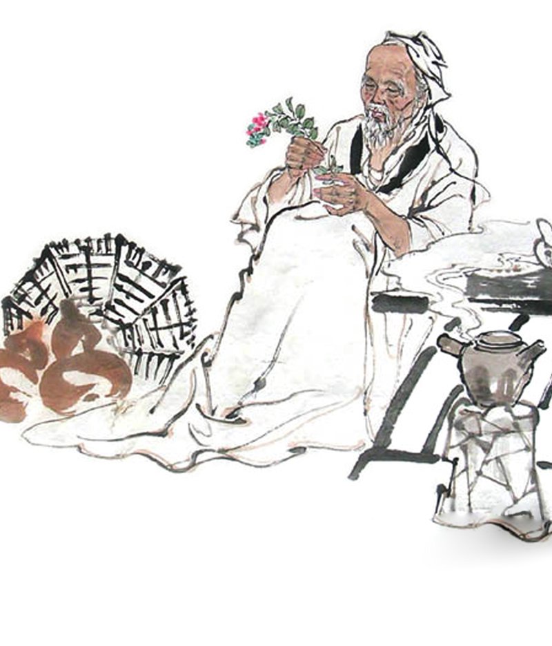 济南中医:传统与现代交织的艺术