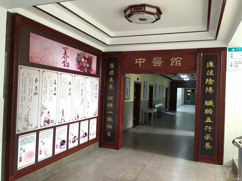 中药方剂：传统智慧的现代解读